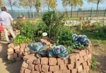 Kids erobern die Natur NaturFreunde Mannheim, Keyhole Garden oder Schlüssellochbeet
