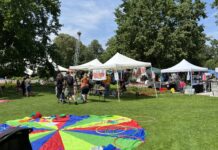 Stadtteilfest der Neckarstadt 2025 – Impressionen