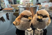 Was hat denn Mobilität mit Küche zu tun?