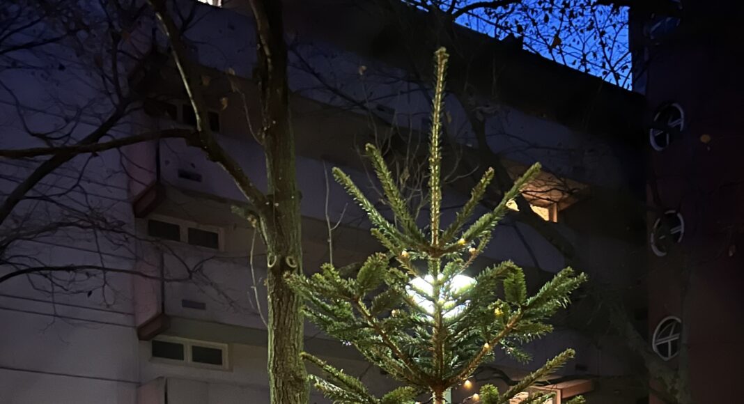 Der Weihnachtsbaum 2025 - Von Herzogenriedlern für Herzogenriedler