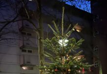 Er strahlt wieder – Der Weihnachtsbaum im Herzogenried Der Weihnachtsbaum 2025 - Von Herzogenriedlern für Herzogenriedler