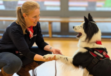 Bundesweiter Vorlesetag – Vorlesestunde mit Hund